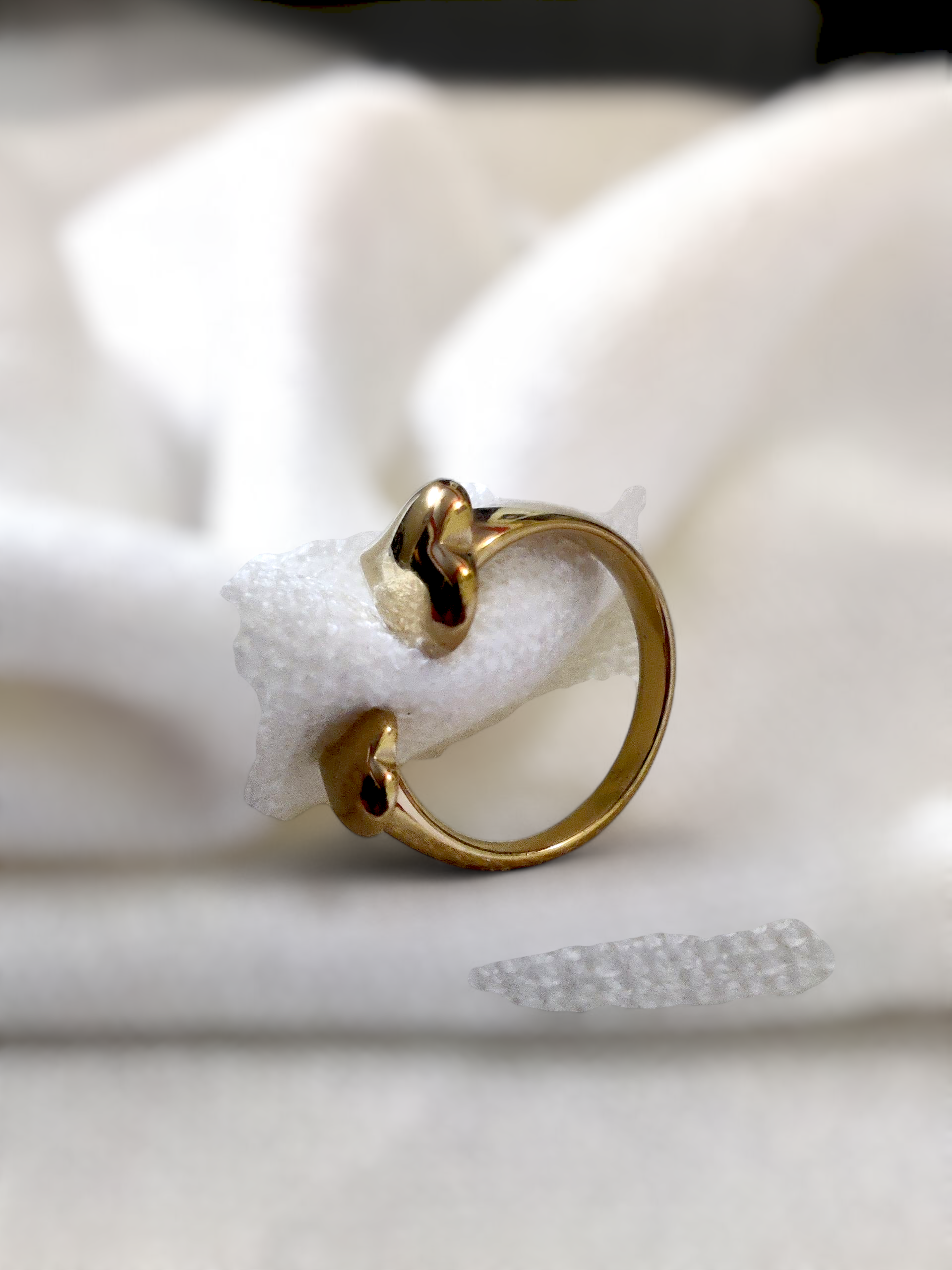 Ashi TwinHeart Anti-Tarnish Ring